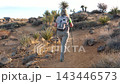 Female hiker walking with backpack and trekking poles along sandy trail through desert landscape with joshua trees and yucca plants during sunny day of exploration. Back view following hiker 143446573