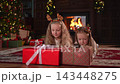 Merry Christmas Xmas holiday. Children unpacking gift box near Christmas tree. Two sister kids in living room with Christmas tree fireplace opening gift box with surprise faces. Christmas eve at home 143448275