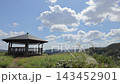 A mountain landscape with swaying pampas grass and a gazebo. 143452901