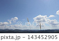 A simple landscape of pampas grass swaying in the wind and distant mountain ridges. 143452905