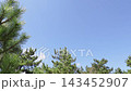 Minimalist background image of a blue sky surrounded by green trees. 143452907