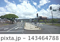 【車窓風景】大きな木とホノルル・スカイラインの高架が見えるハワイのドライブ風景 143464788