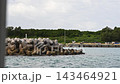 【船からの景色】赤瓦屋根が特徴的な竹富島のフェリーターミナル（竹富東港・到着） 143464921