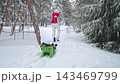 Grandmother pulling child on sled in snowy Finland, enjoying winter family lifestyle outdoors. Warm clothing, joy, love, and seasonal holiday atmosphere in bright daylight. 143469799