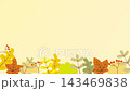 秋天的落葉 143469838