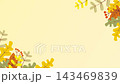 秋天的落葉 143469839