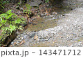 The river flow around Nanataki Falls in Kijoka, Ogimi Village, Okinawa Prefecture 143471712