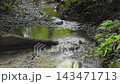 The river flow around Nanataki Falls in Kijoka, Ogimi Village, Okinawa Prefecture 143471713