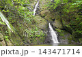 Nanataki Falls in Kijoka, Ogimi Village, Okinawa Prefecture 143471714