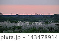 Train crossing bridge over grassy riverbank at sunset in Tainan 143478914