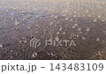 rain falling on wet asphalt, low angle closeup view 143483109
