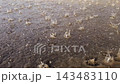 rain drops falling on wet asphalt, low angle closeup view 143483110