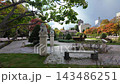 Odori Park in Sapporo with Guardian Lion Statues and Autumn Leaves 143486251
