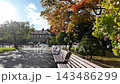 Empty park benches in Odori Park during colorful autumn season in Sapporo 143486299