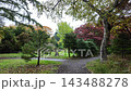 Scenic autumn landscape with colorful trees at Toyohira Park in Sapporo 143488278