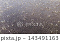 wet asphalt during cloudburst rain, low angle view 143491163
