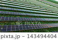 Long Panel Strips Across Bright Green Field Long Panel Strips Across Bright Green Field 143494404