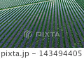 Radiating Solar Rows Form Geometric Fan Radiating Solar Rows Form Geometric Fan 143494405