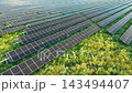 Sunlit Vegetation Between Solar Panel Arrays Sunlit Vegetation Between Solar Panel Arrays 143494407