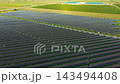 Expansive Solar Complex Across Agricultural Plain Expansive Solar Complex Across Agricultural Plain 143494408