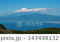 從靜岡縣伊豆市達摩山高原休息站眺望富士山。 143498132