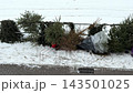 Discarded Christmas trees lying on a snowy street curb after the holidays, depicting waste disposal, seasonal transition and recycling efforts for eco-conscious city environment 143501025