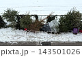 Discarded Christmas trees abandoned in a snowy urban street gutter after the winter holiday, representing post-festive waste disposal and environmental cycle of seasonal cleanup 143501026