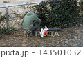 A gardener in a green jacket crouching to trim ivy near a metal fence, using a leaf blower for professional grounds maintenance and outdoor yard cleanup in a residential environment 143501032