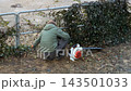 A young gardener pruning overgrown ivy on a metal fence in a garden, using a leaf blower nearby to clean the workspace, conveying seasonal landscape maintenance and yard improvement 143501033