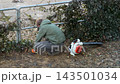 A young gardener crouching by a metal fence while clearing debris with a gas leaf blower, depicting seasonal yard maintenance and groundskeeping work in a residential area. Zoom 143501034