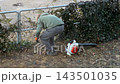 A gardener cleaning around a fence with a leaf blower, performing outdoor maintenance tasks to prepare a yard for the season while ensuring a tidy landscape in a residential area 143501035
