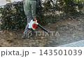A worker using a leaf blower to clear debris near a green garden fence, demonstrating efficient outdoor property maintenance and lawn care service for a clean residential landscape 143501039