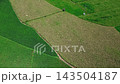 Aerial view of rice fields in the Asia 143504187