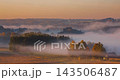 Hazy morning fog with slowly moving fog over the forest 143506487