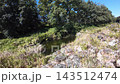 埼玉県長瀞町 蓬莱島公園と荒川の自然豊かな風景をドローン空撮 143512474