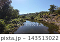 埼玉県長瀞町の蓬莱島公園と荒川の自然風景を前進・上昇・横移動しながら撮影したドローン空撮 143513022