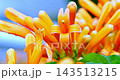 オレンジ色 オレンジ 橙 143513215