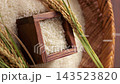 用漏杓盛裝的米飯（垂直螢幕影片） 143523820