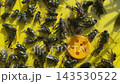 Green flies caught in sticky fly trap 143530522