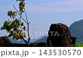 [Copy space for natural background] An everyday scene showing sparrows, rocks, mountains, and sky. 143530570