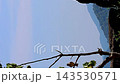 [Copy space with natural background] Everyday scene showing sparrows, rocks, mountains, and sky (vertical format) 143530571