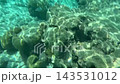 Crystal Clear Lagoon Water Over Coral Rocks 143531012