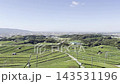 【福岡県八女市】八女中央大茶園に広がる緑豊かな茶畑と雄大な田園風景 143531196