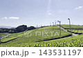 【福岡県八女市】八女中央大茶園に広がる緑豊かな茶畑と雄大な田園風景 143531197