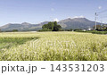 【熊本県阿蘇郡南阿蘇村】緑豊かな田園と山々に囲まれたのどかな田舎風景 143531203