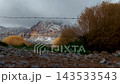Red Rock Mountains and Tumbleweeds Nevada Desert Landscape Ground Level 143533543