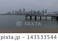 Aerial San Diego Skyline Coronado Ferry Landing Park Bay Flyover 143533544