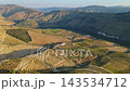 Drone view of Douro Valley vineyards and the Douro River in Portugal with sunset light and green riverbanks. Push in approach dolly shot. 143534712