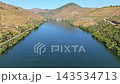 Drone view of the Douro river between vineyard hills in Portugal Douro Valley with calm water and steep terraced slopes. Push in approach dolly shot. 143534713