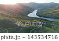 Aerial view of a wine estate with red roofs on a ridge of terraced vineyards above a bend of the Douro River in Portugal, with sun flare at sunset. Slide trucking shot. 143534716